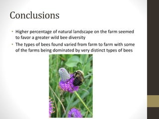 Conclusions
• Higher percentage of natural landscape on the farm seemed
to favor a greater wild bee diversity
• The types of bees found varied from farm to farm with some
of the farms being dominated by very distinct types of bees
 