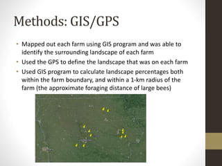 Methods: GIS/GPS
• Mapped out each farm using GIS program and was able to
identify the surrounding landscape of each farm
• Used the GPS to define the landscape that was on each farm
• Used GIS program to calculate landscape percentages both
within the farm boundary, and within a 1-km radius of the
farm (the approximate foraging distance of large bees)
 