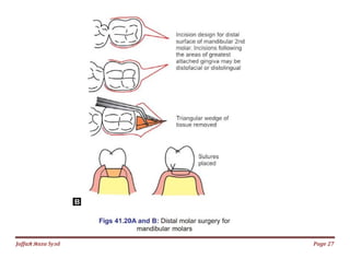Jаffaя яaza Syзd Page 27
 