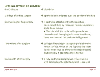 Jаffaя яaza Syзd Page 28
HEALING AFTER FLAP SURGERY
0 to 24 hours  blood clot
1-3 days after flap surgery  epithelial cells migrate over the border of the flap
One week after flap surgery  epithelial attachment to the root has
been established by means of hemidesmosomes
and a basal lamina
 The blood clot is replaced by granulation
tissue derived from gingival connective tissue,
bone marrow and the periodontal ligament
Two weeks after surgery  collagen fibers begin to appear parallel to the
tooth surface. Union of the flap and the tooth
is still weak (due to immature collagen fibers)
but clinically it appears almost normal
One month after surgery  a fully-epithelialized gingival crevice with a
well-defined epithelial attachment is present
 