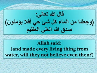 ‫تعالى‬ ‫هللا‬ ‫قال‬:
(‫يؤمنون‬ ‫أفال‬ ‫حي‬ ‫شئ‬ ‫كل‬ ‫الماء‬ ‫من‬ ‫وجعلنا‬)
‫العظيم‬ ‫العلي‬ ‫هللا‬ ‫صدق‬
Allah said:
(and made every living thing from
water, will they not believe even then?)
 
