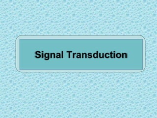 Signal Transduction
 