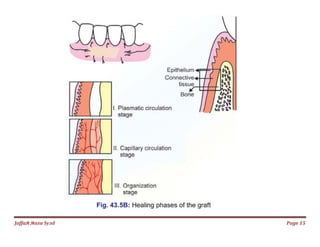 Jаffaя яaza Syзd Page 15
 