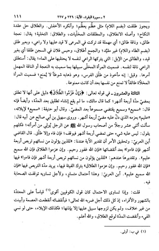 الجامع لأحكام القرآن (تفسير القرطبي) ت: البخاري - الجزء الثالث  
