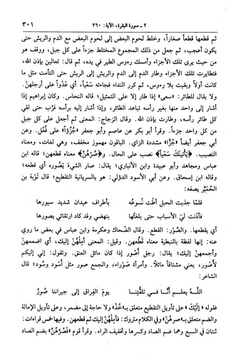 الجامع لأحكام القرآن (تفسير القرطبي) ت: البخاري - الجزء الثالث  