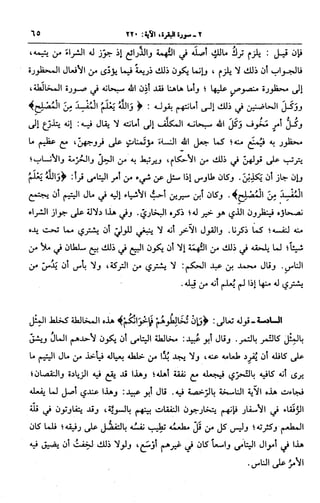 الجامع لأحكام القرآن (تفسير القرطبي) ت: البخاري - الجزء الثالث  