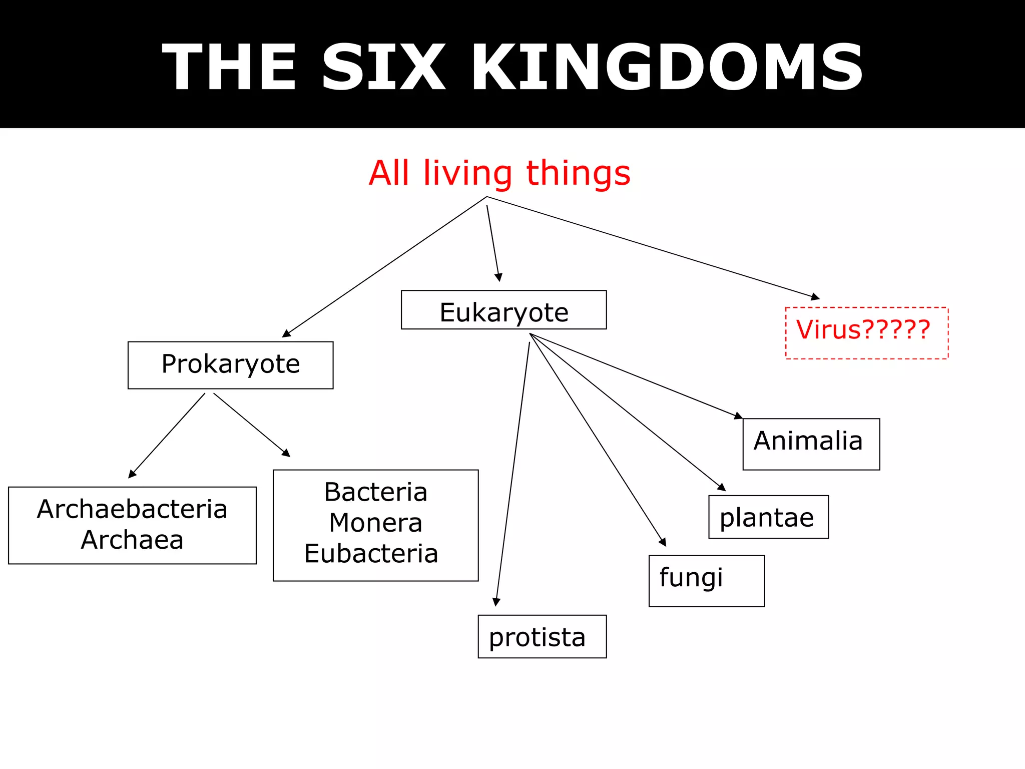 03 6 kingdoms + prokaryote & eukaryote | PPT