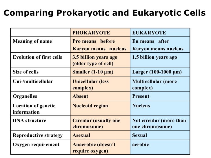 Difference Between Eukaryotic And Prokaryotic
