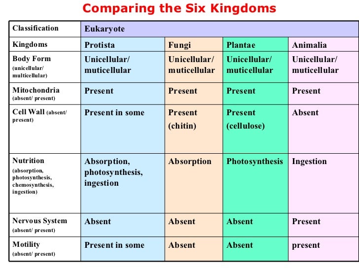 6 Kingdom Classification Chart