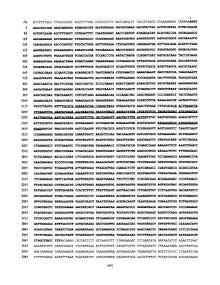 ATCTTTTAGG
AAGCTACTAA
GCTGTCAAGA
AACGAGGGGA
TTGGCGGGGT
GAGCGAATGG
AGCTTTGATC
ATTGAAACAT
CAAGAGGGCA AACCCAGTGC
AAGTATAGCC ATAGAGGGTG
AAATCCTGTC TGAAGCTGGG
GAAAGGTGAA AAGAACTGAG
GCAATACAGG GTGATGGACT
AGGTCTTTAG
TGGATGCCTT
CGTAGATTTC
CTTAGTACCC
TTGCACTGGG
ATAGTCCGTA
CGTGCTTCTT AGTCAAGCTT TGCCTTGACG CTAAAGAAGG
GACTGGTAAA GGCGATGAAG GACGTACTAG ACTGCGATAA
CGAATGGGGC AACCCAATGT ATAGAGATAT ACATTACCTA
TCAGGAAAAG AAATCAATAG AGATTGCGTC AGTAGCGGCG
GGTTGTAGGA CTGCAATGTG CAAGAGGTGA
TGCGAAAACA AACCTTAGCT AGCAGTATCC
TCGACCACGA TCCAACCCTA AATACTAATA
GTGATCAGAG
GCCTTTTGCA
645 CGTAGCGAAA GCGAGTCTGA ATAGGGCGCT
725 GAAGCTAGTG TAAGAACTAG TGGAGGACTG
805 AGGCCAATCA AACTTCGTGA TAGCTGGTTC
885 AGCACTGAAT GGGCTAGGGC ATACACCAAT
TGAAATAGAA CCTGAAACCA
TAATGAGCCT
TAGTCAGATG
AACCCATAGG
TCTCCGAAAT
GTACCAAACC
AGGCGGCGAG TGATAAAATC CGTCGTCAAG AGGGAAACAA
GAAAACGATG TGAAGTTACT TAAACAACCA GGAGGTTGGC
TGGTCTAGTG ATTTTGCGCG AAAATATAA CGGGGCTAAA
GCGAGTTGTG
CTGCAGACCC
CGTTGAAAAG
ATATTTAGGT
CTATCAAACT
CCCAGACTAC
TTAGAAGCAG
GTAAGTACCG
CCAGATCGAT
TTTGCTTACA
GTGTCTGGCA
GAAACGAAGT
CCCCAGGGTA
ATAGCGTTGT
CCGAATACCT
CAGCTAAGGT
CCATCCTTTA
AAGCTGTAGA
GTTTAGCAGA
TGAGTAGGGC
AGTGCACAAG
ATCATTCAGA
AGGTTAAGCA
GATCTATCCA
1
TAAAAAAGGT
GCTACGGGGA
TATAGGAGCG
AGCGAAAGCG
ACATTCTGGA
GGGACACGAG
TACCGTGAGG
GCCCTATGTA
AACGCGAAGC
TGAGCAAGTT
GACTTGTGGA TAGGGGTGAA
GTCGTAATAT AAGGGGGTAG
TATATGTAAT CACAGCAGTC
CCCTAAATCT TACTTAAGTG
AAGAAAGCGT AATAGCTCAC
CTTGCGCAC& ACTTAGATh
mstsoms SM N mm%sszTTTAAG~TTTA GAA.TATfiACyA AALLABAG'JTA LA1TGEILTAfrL TA LL.LTTLA LLCDGATTL.L LA .LILLAkiTIAALi ILTALvUA LLJijf
JLdUL7.LW2;*m *AfLl;LIOr WA gUJILJOA.V;w".maw%7.maw.%o
ATTTGCGTCG AAGGTATACC GGTAAGGAGT GCTGGAGCGA ATAGAAGTGA
TGAGAATCAT
CCGAAAGGGG
TAACGCCGTA AACCCAAGGT TTCCTACGCG ATGCTCGTCA
TAGACGATGG
AAGGGGGCTA GCGGATGGAA
CTGAAAGGCT
AATGTTGCCC
TCTGCAAAAT
CAACAAAGAG
TGCCCGGTGC
CTATAACGGT
CTCAAAGAGG
TTTACTACAG
TTTTGAAGTC
GTACCGTAAA
AGCACCGTAT
TCCCTCCCGA
TCGAAGGTTA
CCTAAGGTAG
GATCCAGTGA
CTTGACACTG
TATGAGCCAT TGTTGAGATA
CAAATTGGTT AATATTCCAA TACCAACATT
GTGCTAGTCT AAGGTCGTAG GAGGTTATAC
GCATGCAGGC
TCGTAGGGTT
AGTCGTCGCG
AGGCAAATCC
TTCGGATGGA TAGAAGAACC CCTGATGCCA TCGAGCCAAG
AAGTGGTAGG AGAGCGTTCT
AGTCGGGTCC TAAGTCGAGT
ATGGAAGGAC GCTTAGGGCT
GTATAACAAT ACTCCGAGAA
AAAAGTTTCT AAGTTTAGCT
CCGACACAGG TGGGTGGGAT GAGTATTCTA AGGCGCGTGG AAGAACTCTC TTTAAGGAAC
CTTCGGTATA AGGTGTGGTT CGCTTCGTAT TAGGATTTAC TCCGAAAGCG AAGAAACTTA
CTGTTTACCA AAAACACAGC ACTCTGCTAA CTCGTAAGAG GATGTATAGG GTGTGACGCC
ATTGATGGGG
CGAAATTCCT
AATTGTAGTG
CTATTTGGAT
CCACTCTTTC
GGTGGGTAGT TTGACTGGGG CGGTCGCCTC
GTTCGTAGAG
CCGGTGGTTC
TCACATCGAC
TTCGCCATTT
GATTGAAGAG
GCAGCGTAGC
CTCTCTAGAA
TTGGCTTATC
AGAAATCTTT
AGATAAAAGA
TATAAAGGTA
TGTGTGGAAG
GGGGAGGTTT
AAAGCGGTAC
ATTTGACCCT
TAAGTTTGGA
GACTACTAGT
TTTAATAAAG
CAAGTAGAGT
TAAGAAAAGA
TAAGCCAGCT
GGCCATCGCT
GGCACCTCGA
GCGAGCTGGG
AGTACGAGAG
AAGGATAAAC
TTGATAGGCT
CATCATTCTT
TTGTATTAGA
AGAAAGAGAA
TTAGCATTAG CGAAGCTCTT GATCGAAGCC CGAGTAAACG
TGTCGGTTAA ATACCGACCT GCATGAATGG CGTAACGAGA
GAGGTGAAAA TTCCTCCTAC CCGCGGCAAG ACGGAAAGAC
AAGAATGTGC AGGATAGGTG GGAGGCTTTG AGTATATGAC
TTATTTGGGT AGCTAACCAG CTTGAGTTAT CCTCAAGTGG
CCAAATAATA ACGGAGGCTT ACAAAGGTTG GCTCAGAACG
TAACTGCAAG ACATACAAGT CAGCAGAGA CGAAAGTCGG
CAAAGGATAA AAGGTACCCC GGGGATAACA GGCTGATCTC
TGTCGGCTCA TCGCATCCTG GGGCTGGAGC AGGTCCCAAG
TTCAQAACGT CGTGAGACAG
GACCGGGTTG AACAAACCAC
GCTGAAAGCA TCTAAGCGTG
GGGTGTGTAA TGGATGAAAG
GTTAAGGTTT TTAAGAAGAC
ACTTGCTCTT AACATTGTTT
TAAAGAAAAA AGTAAAGGAA
TTCGGTCCCT ATCTGCCGTG
TGGTGTAGCT GTTGTTCTGC
AAGCCAACTC TAAGATGAAT
TCCTTTAGCT GACCAGTACT
TTTGAATATA GATAATATTT
TTTAAGTATT CTAAAATAAA
TAAAAGATTA AGTTTTATTC
GCGGCCGTAA
TGGGAGCTGT
CCCGTGGACC
GCCAGTTGTA
GACAATGTCT
GTTGGAAATC
TCTTAGTGAT
CCCCAAGAGC
GGTATGGCTG
GGCGTAAGAA
CAGAGCATC
CTTCTCTAAG
AATAGAGCGT
AGAGTTTAAT
AACTTATCAA
TTAAATTCAA
3285 TCTTTCAAAG AATATTTAAA TAACAATGTC CGTGATTATA CAGATGTGGA AACGCCTTGC TCCATCCCGA ACCAAGAAGC
4601
-76
5
85
165
245
325
405
485
565
965
1045
1125
1205
1285
1365
1445
1525
1605
1685
1765
1845
1925
2005
2085
2165
2245
2325
2405
2485
2565
2645
2725
2805
2885
2965
3045
3125
3205
 
