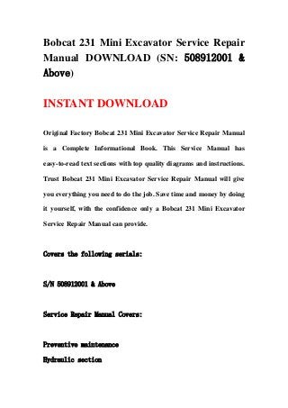 Bobcat 231 Mini Excavator Service Repair
Manual DOWNLOAD (SN: 508912001 &
Above)
INSTANT DOWNLOAD
Original Factory Bobcat 231 Mini Excavator Service Repair Manual
is a Complete Informational Book. This Service Manual has
easy-to-read text sections with top quality diagrams and instructions.
Trust Bobcat 231 Mini Excavator Service Repair Manual will give
you everything you need to do the job. Save time and money by doing
it yourself, with the confidence only a Bobcat 231 Mini Excavator
Service Repair Manual can provide.
Covers the following serials:
S/N 508912001 & Above
Service Repair Manual Covers:
Preventive maintenance
Hydraulic section
 