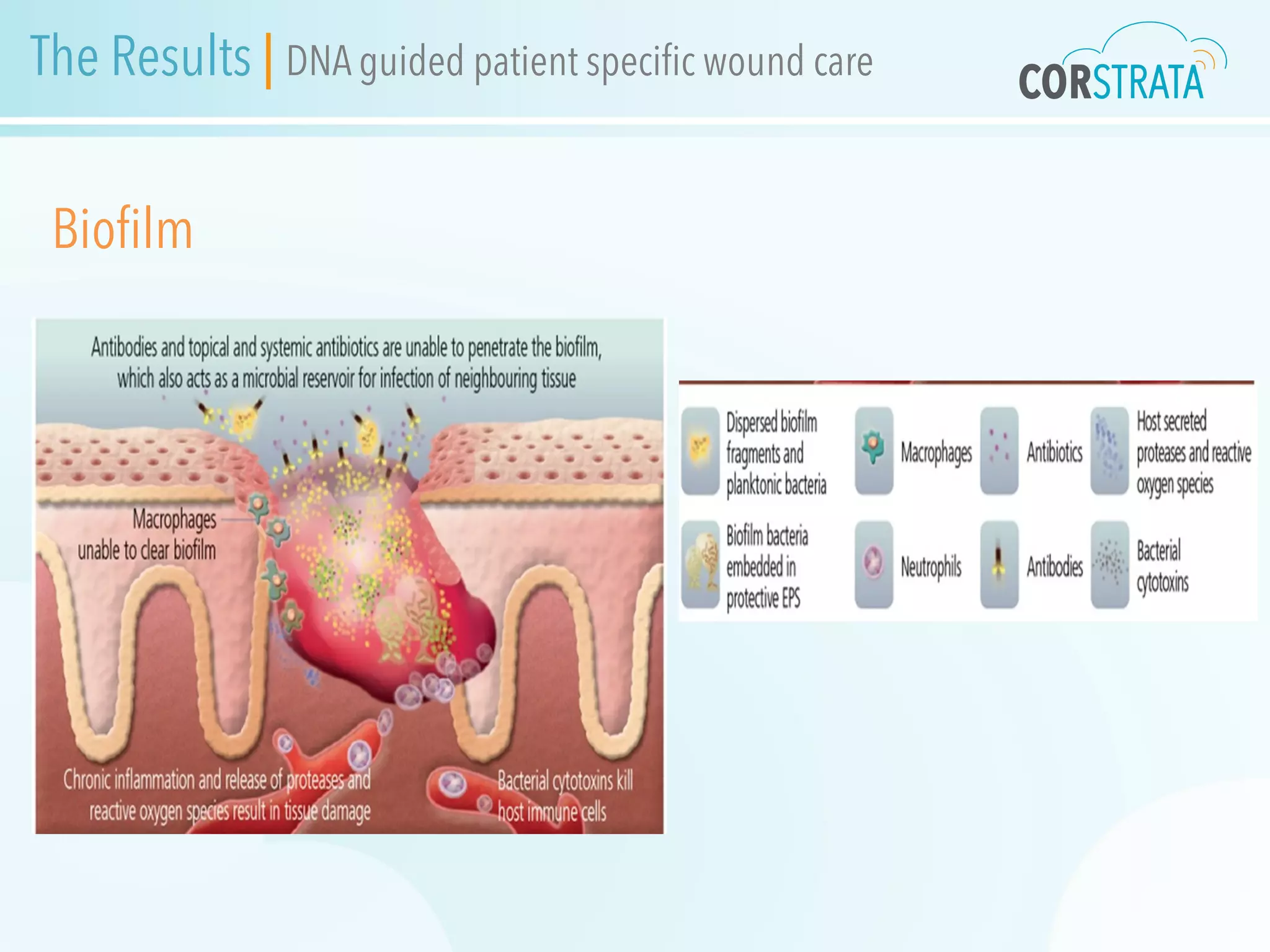 Bioﬁlm
The Results | DNA guided patient speciﬁc wound care
 