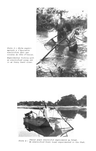 Photo 3 - Pèche expéri-
mentale à l'épuisette
électrifiée dans une
rivière de Côte d'Ivoire.
Experimental fishing with
an electrified scoop net
in an Ivory Coast river.
Photo 4 _ Chalut avant électrifié expérimenté au Tchad.
An electrified front trawl experimented in the Chad.
 