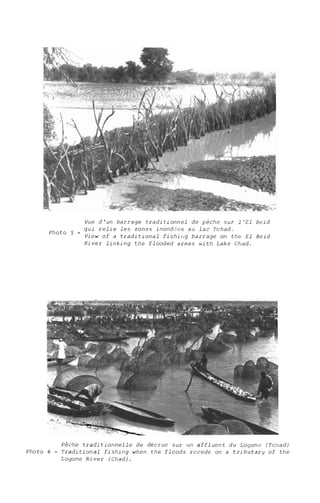 Photo 5 -
Vue d'un barrage traditionnel de pêche sur l'El
qui relie les zones inond~es au lac Tchad.
View of a tradi tional fishù,g barrage on the El
River linking the flooded areas with Lake Chad.
Eeid
Beid
Pêche traditionnelle de decrue sur un affluent du Logone (Tchad)
Photo 6 - Traditional fishing when the floods rccede on a tributary of the
Loyone River (Chad).
 