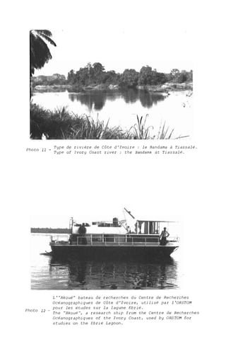 Photo 11 _ Type de rivière de Côte d'Ivoire: le Bandama à Tiassalé.
Type of Ivory Coast river : the Bandama at Tiassalé.
Photo 12 -
L'''Akoué'' bateau de recherches du Centre de Recherches
Océanographiques de Côte d'Ivoire, utilisé par 1 'OR5TOM
pour les études sur la lagune Ebrié.
The "Akoué", a research ship from the Centre de Recherches
Océanographiques of the Ivory Coast, used by ORSTOM for
studies on the Ebrié Lagoon.
 