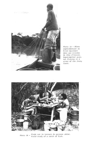 Photo 15 - Pêche
expérimentale au
filet maillant
dans une rivière
de Côte d'Ivoire.
Experimental gi11-
net fishing in a
river of the Ivory
Coast.
Photo 16 _ Etude sur le terrain du poisson sêché.
Field study of a catch of fish.
 