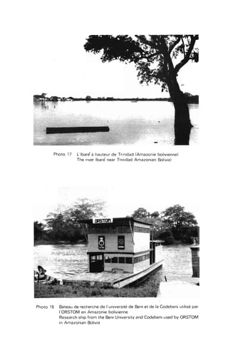 Photo 17 L'ibare' à hauteur de Trinidad (Amazonie bolivienne).
The river Ibaré near Trinidad Amazonian Bolivia)
Photo 18 Bateau de recherche de l'université de Beni et de la Codebeni utilisé par
l'ORSTOM en Amazonie bolivienne
Research ship from the Beni University and Codebeni used by ORSTOM
in Amazonian Bolivia
 