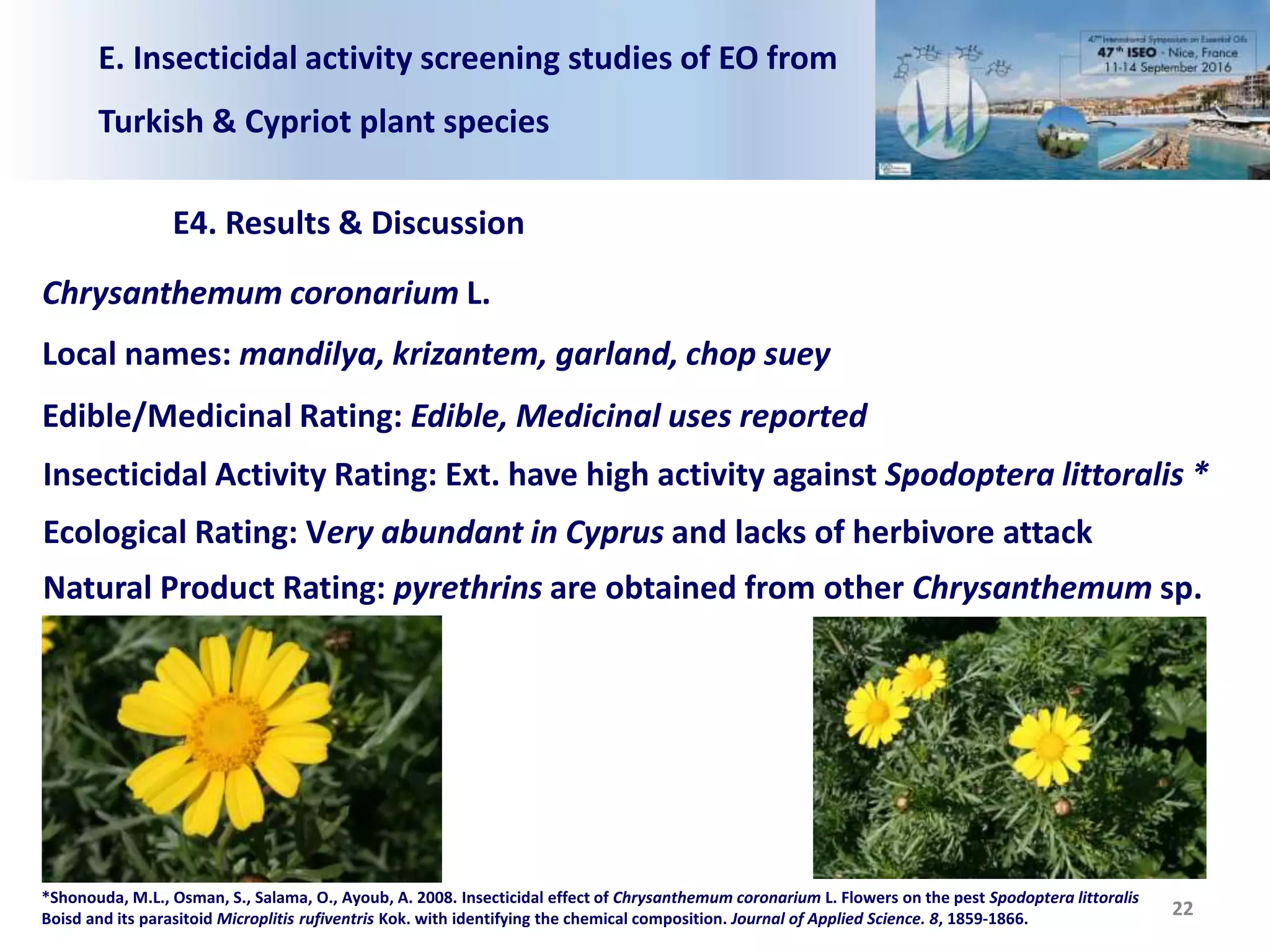 E. Insecticidal activity screening studies of EO from
Turkish & Cypriot plant species
E4. Results & Discussion
22
Chrysanthemum coronarium L.
Local names: mandilya, krizantem, garland, chop suey
Edible/Medicinal Rating: Edible, Medicinal uses reported
Insecticidal Activity Rating: Ext. have high activity against Spodoptera littoralis *
Ecological Rating: Very abundant in Cyprus and lacks of herbivore attack
Natural Product Rating: pyrethrins are obtained from other Chrysanthemum sp.
*Shonouda, M.L., Osman, S., Salama, O., Ayoub, A. 2008. Insecticidal effect of Chrysanthemum coronarium L. Flowers on the pest Spodoptera littoralis
Boisd and its parasitoid Microplitis rufiventris Kok. with identifying the chemical composition. Journal of Applied Science. 8, 1859-1866.
 