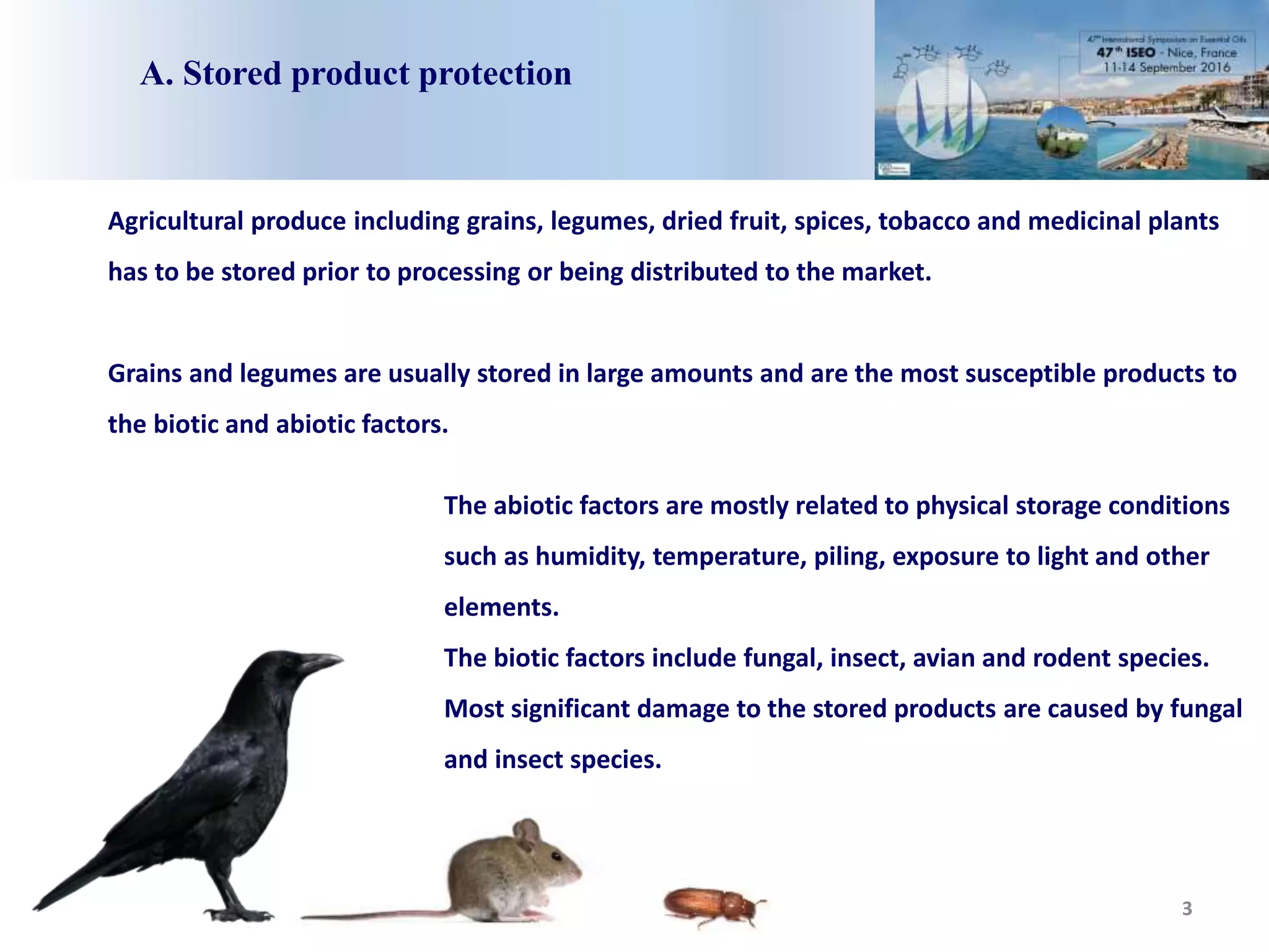 3
A. Stored product protection
Agricultural produce including grains, legumes, dried fruit, spices, tobacco and medicinal plants
has to be stored prior to processing or being distributed to the market.
Grains and legumes are usually stored in large amounts and are the most susceptible products to
the biotic and abiotic factors.
The abiotic factors are mostly related to physical storage conditions
such as humidity, temperature, piling, exposure to light and other
elements.
The biotic factors include fungal, insect, avian and rodent species.
Most significant damage to the stored products are caused by fungal
and insect species.
 
