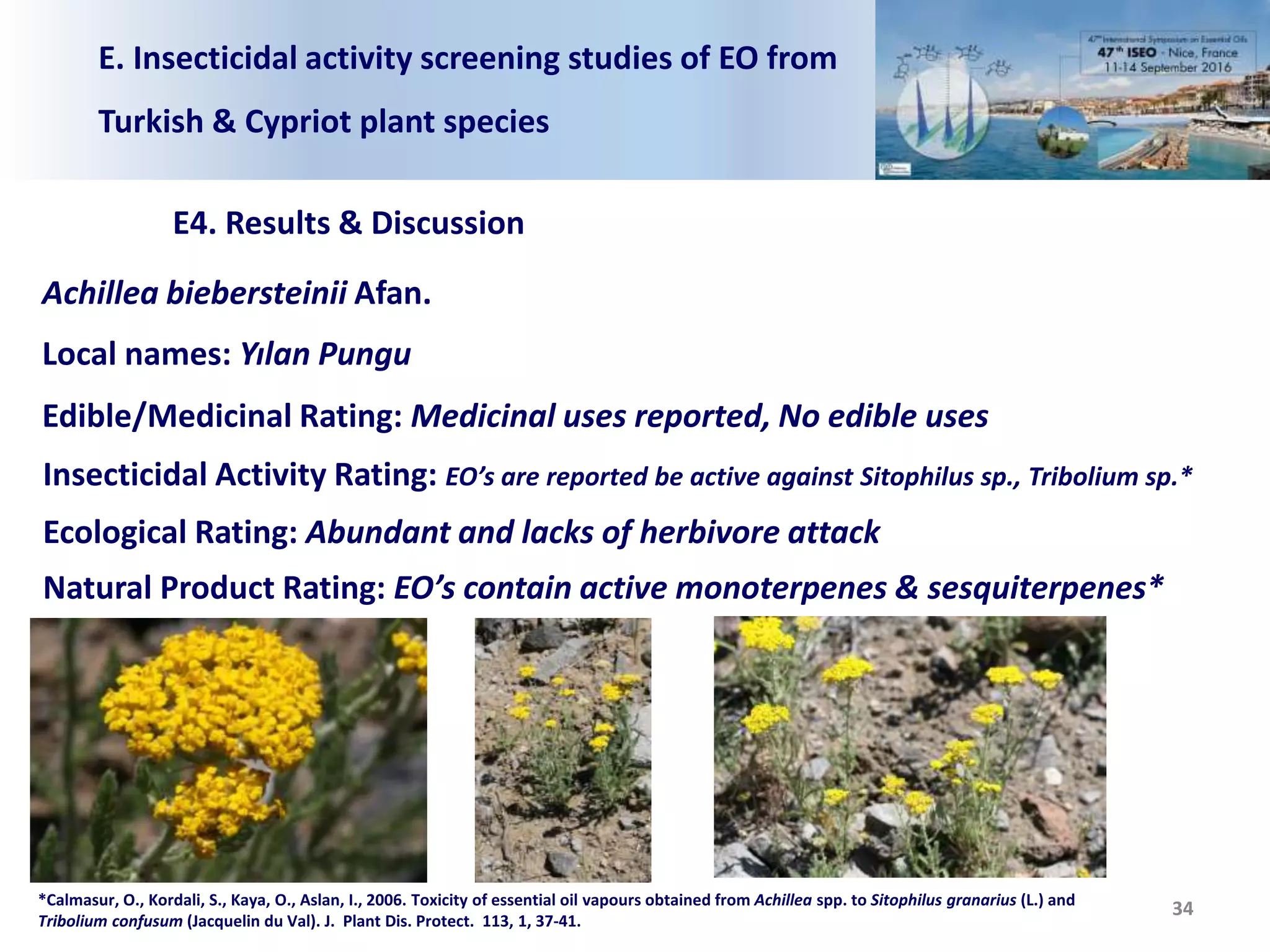 E. Insecticidal activity screening studies of EO from
Turkish & Cypriot plant species
E4. Results & Discussion
34
Achillea biebersteinii Afan.
Local names: Yılan Pungu
Edible/Medicinal Rating: Medicinal uses reported, No edible uses
Insecticidal Activity Rating: EO’s are reported be active against Sitophilus sp., Tribolium sp.*
Ecological Rating: Abundant and lacks of herbivore attack
Natural Product Rating: EO’s contain active monoterpenes & sesquiterpenes*
*Calmasur, O., Kordali, S., Kaya, O., Aslan, I., 2006. Toxicity of essential oil vapours obtained from Achillea spp. to Sitophilus granarius (L.) and
Tribolium confusum (Jacquelin du Val). J. Plant Dis. Protect. 113, 1, 37-41.
 
