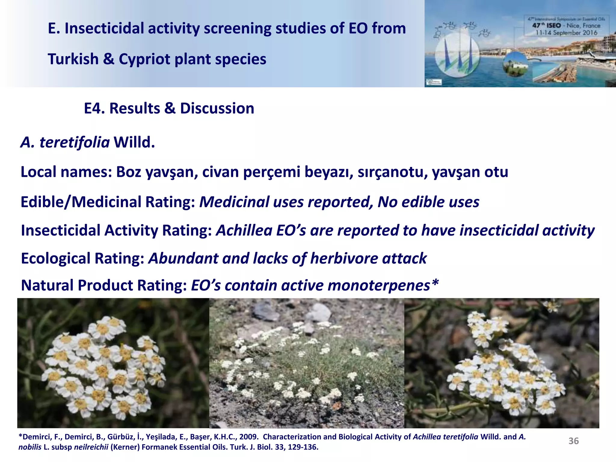 E. Insecticidal activity screening studies of EO from
Turkish & Cypriot plant species
E4. Results & Discussion
36
A. teretifolia Willd.
Local names: Boz yavşan, civan perçemi beyazı, sırçanotu, yavşan otu
Edible/Medicinal Rating: Medicinal uses reported, No edible uses
Insecticidal Activity Rating: Achillea EO’s are reported to have insecticidal activity
Ecological Rating: Abundant and lacks of herbivore attack
Natural Product Rating: EO’s contain active monoterpenes*
*Demirci, F., Demirci, B., Gürbüz, İ., Yeşilada, E., Başer, K.H.C., 2009. Characterization and Biological Activity of Achillea teretifolia Willd. and A.
nobilis L. subsp neilreichii (Kerner) Formanek Essential Oils. Turk. J. Biol. 33, 129-136.
 