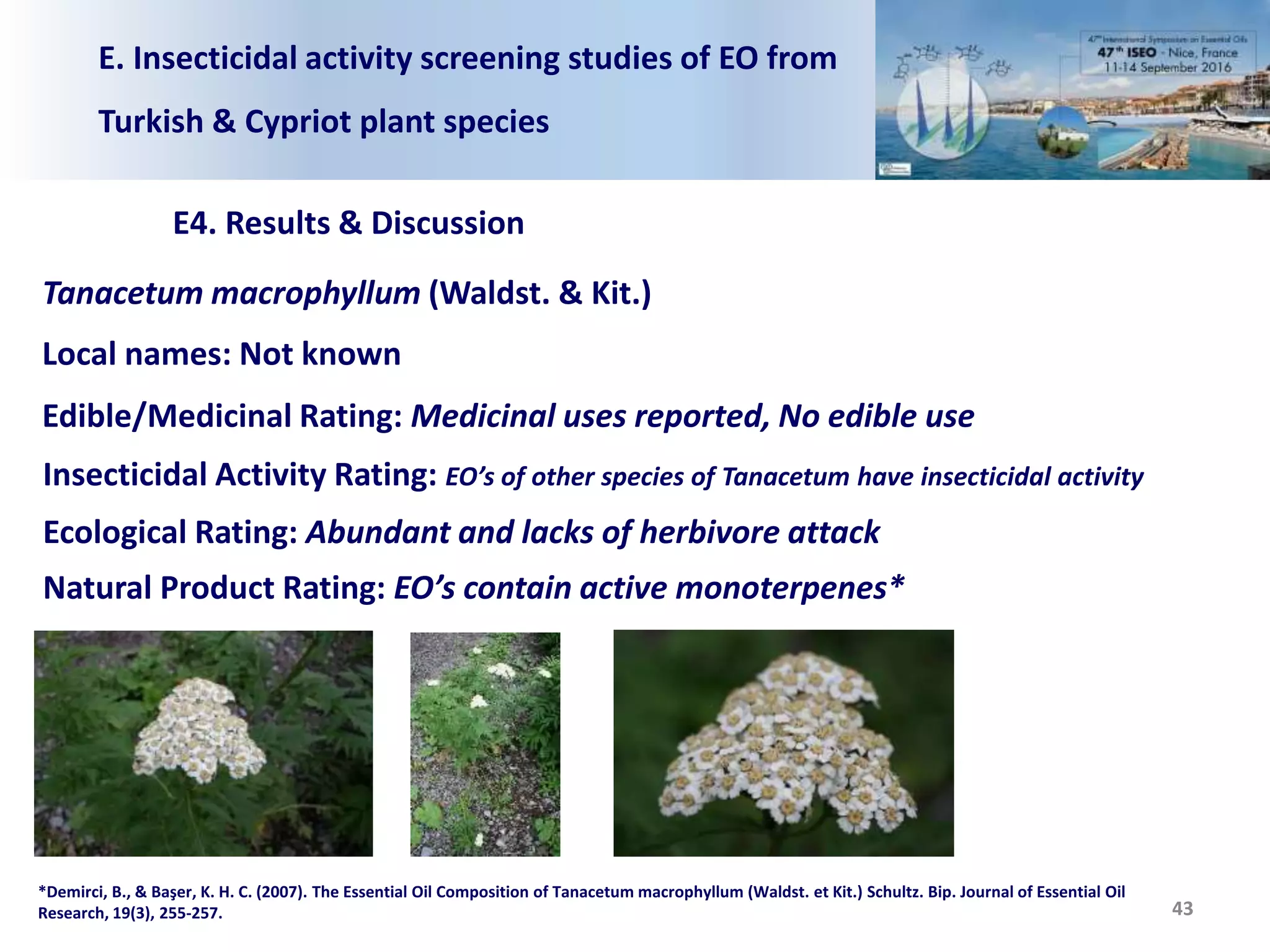 E. Insecticidal activity screening studies of EO from
Turkish & Cypriot plant species
E4. Results & Discussion
43
Tanacetum macrophyllum (Waldst. & Kit.)
Local names: Not known
Edible/Medicinal Rating: Medicinal uses reported, No edible use
Insecticidal Activity Rating: EO’s of other species of Tanacetum have insecticidal activity
Ecological Rating: Abundant and lacks of herbivore attack
Natural Product Rating: EO’s contain active monoterpenes*
*Demirci, B., & Başer, K. H. C. (2007). The Essential Oil Composition of Tanacetum macrophyllum (Waldst. et Kit.) Schultz. Bip. Journal of Essential Oil
Research, 19(3), 255-257.
 