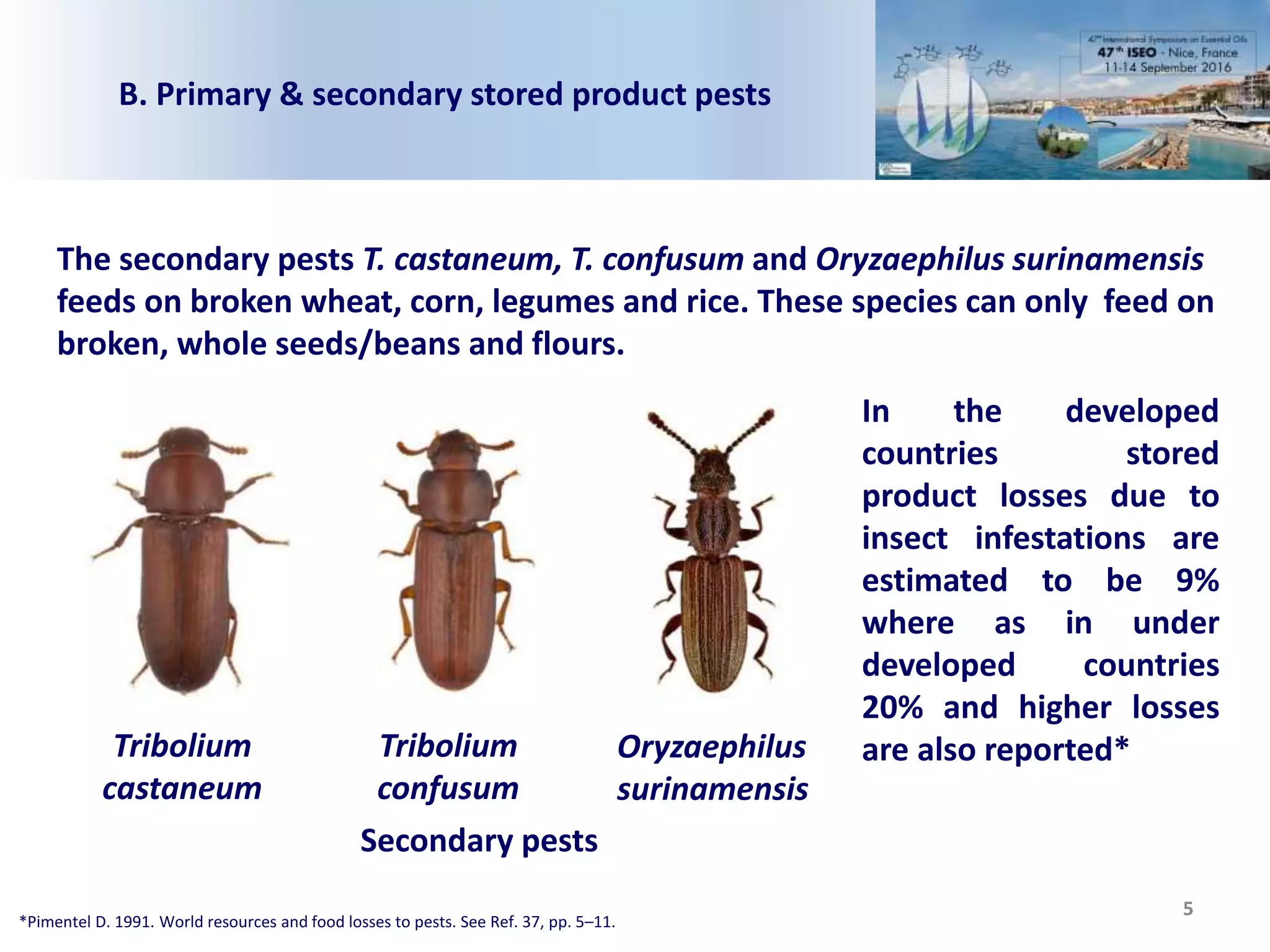 5
The secondary pests T. castaneum, T. confusum and Oryzaephilus surinamensis
feeds on broken wheat, corn, legumes and rice. These species can only feed on
broken, whole seeds/beans and flours.
Tribolium
castaneum
Tribolium
confusum
Oryzaephilus
surinamensis
Secondary pests
B. Primary & secondary stored product pests
In the developed
countries stored
product losses due to
insect infestations are
estimated to be 9%
where as in under
developed countries
20% and higher losses
are also reported*
*Pimentel D. 1991. World resources and food losses to pests. See Ref. 37, pp. 5–11.
 