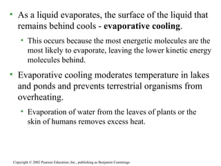 As a liquid evaporates, the surface of the liquid that remains behind cools -  evaporative cooling .  This occurs because the most energetic molecules are the most likely to evaporate, leaving the lower kinetic energy molecules behind. Evaporative cooling moderates temperature in lakes and ponds and prevents terrestrial organisms from overheating. Evaporation of water from the leaves of plants or the skin of humans removes excess heat. Copyright © 2002 Pearson Education, Inc., publishing as Benjamin Cummings 