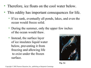Therefore, ice floats on the cool water below. This oddity has important consequences for life. If ice sank, eventually all ponds, lakes, and even the ocean would freeze solid. During the summer, only the upper few inches  of the ocean would thaw. Instead, the surface layer  of ice insulates liquid water  below, preventing it from  freezing and allowing life  to exist under the frozen  surface.  Copyright © 2002 Pearson Education, Inc., publishing as Benjamin Cummings Fig. 3.6 