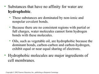 Substances that have no affinity for water are  hydrophobic . These substances are dominated by non-ionic and nonpolar covalent bonds. Because there are no consistent regions with partial or full charges, water molecules cannot form hydrogen bonds with these molecules. Oils, such as vegetable oil, are hydrophobic because the dominant bonds, carbon-carbon and carbon-hydrogen, exhibit equal or near equal sharing of electrons. Hydrophobic molecules are major ingredients of cell membranes. Copyright © 2002 Pearson Education, Inc., publishing as Benjamin Cummings 