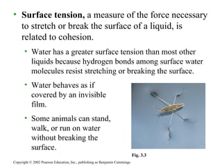 Surface tension,  a measure of the force necessary to stretch or break the surface of a liquid, is related to cohesion. Water has a greater surface tension than most other liquids because hydrogen bonds among surface water molecules resist stretching or breaking the surface. Water behaves as if  covered by an invisible  film. Some animals can stand,  walk, or run on water  without breaking the  surface. Copyright © 2002 Pearson Education, Inc., publishing as Benjamin Cummings Fig. 3.3 