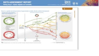 Climate Change 2022: Impacts, Adaptation and Vulnerability | PPTX