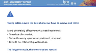 Climate Change 2022: Impacts, Adaptation and Vulnerability | PPTX