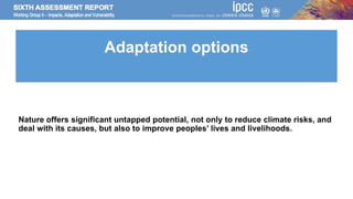 Climate Change 2022: Impacts, Adaptation and Vulnerability | PPTX