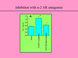 Inhibition with α-2 AR antagonist
None
5mML-arginine
+0.2nMRauwolscine
0.0
0.2
0.4
0.6
0.8
1.0
1.2
NO
2
-
+NO
3
-
,µM
*
*
A
 