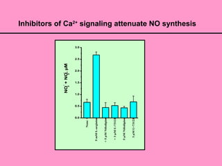 Inhibitors of Ca2+
signaling attenuate NO synthesis
None
5mML-arginine
+5µMNifedipine
+3µMU-73122
5µMNifedipine
3µMU-73122
0.0
0.5
1.0
1.5
2.0
2.5
3.0
NO3
-
+NO2
-
,µM
 