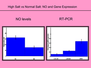 High Salt vs Normal Salt: NO and Gene Expression
NO levels RT-PCR
 