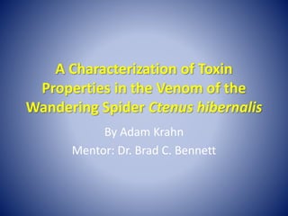 A Characterization of Toxin
Properties in the Venom of the
Wandering Spider Ctenus hibernalis
By Adam Krahn
Mentor: Dr. Brad C. Bennett
 