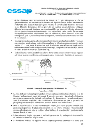 Proyecto de Modernización del Sector Agua y Saneamiento (PMSAS)
Préstamo BIRF Nº 7710-PY
SUB-PROYECTO – “CONSTRUCCIÓN DE LA PLANTA DE TRATAMIENTO DE AGUAS
RESIDUALES CUENCA BELLA VISTA Y EMISARIO SUB-FLUVIAL”
83
de las viviendas como se muestra en la Imagen Nº 2, que corresponde a 1,34 ha
aproximadamente. La arborización se realizará con especies nativas, plantas ornamentales
y adaptadas a las características ecológicas del área, en las variedades botánicas indicadas
en los diferentes documentos del Sub-proyecto. En cuanto a las características eclógicas
del área, la misma está situada en una zona inundable, con largos periodos del año donde
alberga cuerpos de agua semi-permanentes cuya profundidad varían con las fluctuaciones
hidrogeológicas anuales, alternándose fases de suelo seco y suelo inundado, conocidas
como pulsos, y así la presencia de especies vegetales y animales característicos de este tipo
de ecosistemas.
 En una primera etapa, parte del sistema de aislamiento ambiental de la zona de las viviendas
corresponde a una franja de protección para el arroyo Mburicao, como se muestra en la
Imagen Nº 1, esta franja de protección será de al menos siete (7) metros desde donde
comienza la barranca en el margen derecho del arroyo, cumpliendo así los cinco (5) metros
de franja de conservación que recomienda ley.
 En la zona alta y en los alrededores del área de viviendas se colocará árboles de especies
nativas de la zona, creando una cortina de protección con especies forestales de gran porte.
Imagen 1. Propuesta de manejo en zona ribereña y zona alta
Fuente: Torres, C. 2013
 La zona de la cabecera de la propiedad en dirección a la desembocadura del arroyo en el río
Paraguay es la zona con mayor diversidad de especies vegetales y de animales. Esta zona
propuesta se encuentra discriminada en los planos del Sub-proyecto y se delimitará como
zona de reserva de propiedad, a fin de destinarla a la conservación, por lo que debe ser
protegida y evitar cualquier impacto que las obras puedan tener sobre el área.
 Dada la biodiversidad de la zona destinada como reserva, este sector quedaría como un sitio
propicio para prácticas de educación ambiental con los actores primarios y la comunidad
misma. Además en este sitio se podrían realizar trabajos de investigación y monitoreo de la
fauna y flora de la zona.
 Laboreo (sanear, limpiar y preparar el suelo) de preparación del suelo para la implantación
de las especies forestales de gran porte.
 Se mantendrá parte de las especies nativas (especies pioneras forestales de la zona) que
Suelo existente
Forestación con especies nativas
o exóticas
Arroyo Mburicao
Suelo de relleno
5 metros
 