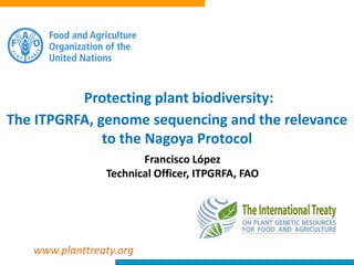 Protecting plant biodiversity:
The ITPGRFA, genome sequencing and the relevance
to the Nagoya Protocol
Francisco López
Technical Officer, ITPGRFA, FAO
www.planttreaty.org
 