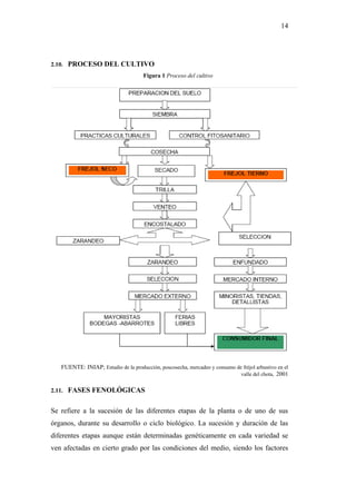 14




2.10. PROCESO DEL CULTIVO
                                      Figura 1 Proceso del cultivo




   FUENTE: INIAP; Estudio de la producción, poscosecha, mercadeo y consumo de fréjol arbustivo en el
                                                                             valle del chota, 2001


2.11. FASES FENOLÓGICAS


Se refiere a la sucesión de las diferentes etapas de la planta o de uno de sus
órganos, durante su desarrollo o ciclo biológico. La sucesión y duración de las
diferentes etapas aunque están determinadas genéticamente en cada variedad se
ven afectadas en cierto grado por las condiciones del medio, siendo los factores
 