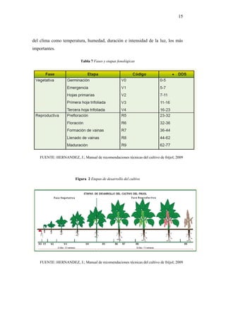 15




del clima como temperatura, humedad, duración e intensidad de la luz, los más
importantes.

                            Tabla 7 Fases y etapas fenológicas




    FUENTE: HERNANDEZ, J.; Manual de recomendaciones técnicas del cultivo de fréjol; 2009




                         Figura 2 Etapas de desarrollo del cultivo




    FUENTE: HERNANDEZ, J.; Manual de recomendaciones técnicas del cultivo de fréjol; 2009
 