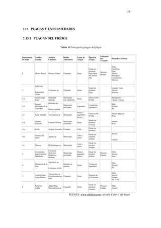 33




2.13. PLAGAS Y ENFERMEDADES


2.13.1 PLAGAS DEL FRÉJOL

                                               Tabla 8 Principales plagas del fréjol


                                                                                                  Enfermed
Importancia   Nombre            Nombre               Habito           Lugar de    Época de
                                                                                                  que        Hospedera Alterna
de Daño       Común             Científico           Alimenticio      Ataque      Ataque
                                                                                                  Trasmite


                                                                                                             Haba,
                                                                                  Desde las                  Hortalizas
                                                                                  primeras                   Papa
                                                                                                  Mosaico
1             Mosca Blanca      Bemisia Tabaci       Chupador         Hojas       hojas hasta                Anconi
                                                                                                  Dorado
                                                                                  los últimos                Berenjena
                                                                                  días                       Curcubiteaes
                                                                                                             Malezas


              Salta-hoja
                                                                                  Desde las                  Guandul Haba
2                               Empoasca sp.         Chupador         Hojas       primeras                   Anconi
              Esperancita                                                         hojas                      Malezas
              Verde
              Gusano pega       Hedylepta            Masticador -                 Entre los 40-              Amaranthus
3-a                                                                   Hojas
              hojas             indicata             solo epidermis               60 días                    Cleome viscosa

              Gusano           Heliothis sp.                                                                 Maíz
                                                     Masticador                   Cuando hay
3-b           Perforador de la                                        Legumbre                               Tomate
                                                     perforador                   legumbres
              Legumbre         Maruca tesulali                                                               Ají

                                                                      Hojas y
                                                                                  Entre los 40-              Anconi Algodón
3-c           Falso Medidor     Trichoplusia sp.     Masticador       legumbres
                                                                                  60 días                    Soya
                                                                      tiernos
                                                                                  Desde las
              Gusano                                 Masticador -                                            Anconi
3-d                             Urbanus Proteus                       Hojas       primeras
              Cabezón                                enrollador                                              Soya
                                                                                  semanas
                                                                                  Desde las
4-a           Grillo            Achetta Assimilis Cortador            Tallo
                                                                                  primeras

                                                                                  Desde las                  Anconi
              Gusano del                                              Tallo y
4-b                             Agrotis sp.          Masticador                   segunda
              Suelo                                                   raíces
                                                                                  semana                     Gandul
                                                                                  Desde las
                                                                      Tallo y
4-c           Majoca            Phyllophagas sp.     Masticador                   primera
                                                                      raíces
                                                                                  semana
                                Cerotoma
              Crisomelido                                             Hojas y     Desde las                  Haba
                                Ruficonis            Masticador                                   Mosaico
5             Rojo Cotorrita                                          legumbre    primera                    Anconi
                                Diabrotica           perforador                                   Rugoso
              Manchada                                                Raíces      semana                     Soya
                                Balteata

                                Agromyza sp.                                                                 Maíz
              Minadores de la                        Minador de                   Tiempo de
6                                                                     Hojas                                  Tomate
              hoja                                   galerías                     legumbres
                                Liriomyza trifolii                                                           Ají

                                                                                                             Haba
                                Tetranychus sp.
              Arañita Rojas                                                       Después de                 Anconi
7                               Polyphagotarsone Chupador             Hojas
              Acaro Blanco                                                        la Floración               Tomate
                                latus
                                                                                                             Ají, Yuca

                                                                                  Desde las
              Pulgones          Aphis fabae                                                       Mosaico    Haba
8                                               Chupador              Hojas       primeras
              Afidos            Macrosiphum sp.                                                   Común      Anconi
                                                                                  semanas


                                                           FUENTE: www.slhfarm.com; sección Cultivo del frejol.
 