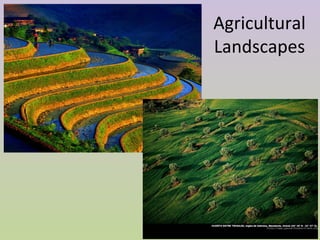 Agricultural
Landscapes
 