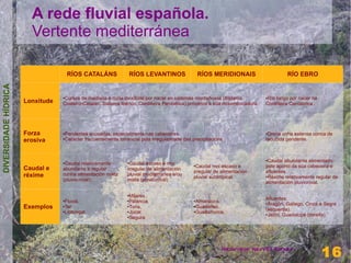 A rede fluvial española.
                        Vertente mediterránea

                                       RÍOS CATALÁNS                   RÍOS LEVANTINOS                RÍOS MERIDIONAIS                  RÍO EBRO
DIVERSIDADE HÍDRICA




                                  ●Cursos de mediana e curta lonxitude por nacer en sistemas montañosos (Sistema              Río longo por nacer na
                                                                                                                              ●
                      Lonxitude   Costeiro-Catalán, Sistema Ibérico, Cordilleira Penibética) próximos á súa desembocadura.    Cordilleira Cantábrica..




                      Forza       ●   Pendentes acusadas, especialmente nas cabeceiras.                                       ●Drena unha estensa conca de
                      erosiva     ●   Carácter frecuentemente torrencial pola irregularidade das precipitacións.              reducida pendente.



                                                                                                                              ●Caudal abundante alimentado
                                  ●Caudal relativamente            ●Caudal escaso e moi
                      Caudal e
                                                                                                  ●Caudal moi escaso e        polo aporto da súa cabeceira e
                                  abundante e regular              irregular de alimentación
                                                                                                  irregular de alimentación   afluentes.
                      réxime      cunha alimentación mixta         pluvial mediterránea e/ou
                                                                                                  pluvial subtropical.        ●Réxime relativamente regular de
                                  (pluvio-nival).                  mixta (pluvio-nival)
                                                                                                                              alimentación pluvionival.

                                                                   ●Mijares.
                                                                                                                              Afluentes:
                                  ●Fluviá.                         ●Palancia.                     ●Almanzora.                 ●Aragón, Gállego, Cinca e Segre
                      Exemplos    ●Ter.                            ●Turia,                        ●Guadalfeo.
                                                                                                                              (esquerda).
                                  ●Llobregat                       ●Júcar.                        ●Guadalhorce.
                                                                                                                              ●Jalón, Guadalope (dereita).
                                                                   ●Segura.




                                                                                                                                                         16
                                                                                                               Henrique Hervés Sayar
                                                                                                                                                         16
 