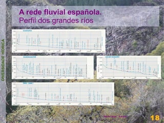A rede fluvial española.
                      Perfil dos grandes ríos
DIVERSIDADE HÍDRICA




                                                                  18
                                                 Henrique Sayar
                                                                  18
 