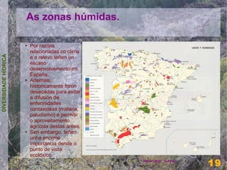 As zonas húmidas.

                      ●   Por razóns
                          relacionadas co clima
DIVERSIDADE HÍDRICA




                          e o relevo teñen un
                          escaso
                          desenvolvemento en
                          España.
                      ●   Ademais,
                          historicamente foron
                          desecadas para evitar
                          a difusión de
                          enfermidades
                          contaxiosas (malaria,
                          paludismo) e permitir
                          o aproveitamento
                          agrícola destas áreas.
                      ●   Sen embargo, teñen
                          unha enorme
                          importancia dende o
                          punto de vista
                          ecolóxico.                                19
                                                   Henrique Sayar
                                                                    19
 
