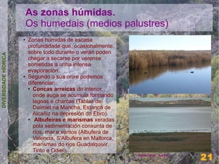 As zonas húmidas.
                          Os humedais (medios palustres)
                      ●   Zonas húmidas de escasa
                          profundidade que, ocasionalmente,
                          sobre todo durante o verán poden
DIVERSIDADE HÍDRICA




                          chegar a secarse por verense
                          sometidas a unha intensa
                          evaporación.
                      ●   Segundo a súa orixe podemos
                          diferenciar:
                          ● Concas arreicas do interior,

                            onde auga se acumula formando
                            lagoas e charcas (Tablas de
                            Daimiel na Mancha, Estanca de
                            Alcañiz na depresión do Ebro).
                          ●  Albufeiras e marismas xeradas
                            pola sedimentación conxunta de
                            ríos, mar e ventos (Albufera de
                            Valencia, S'Albufera en Mallorca,
                            marismas do ríos Guadalquivir,
                            Tinto e Odiel).                                      21
                                                                Henrique Sayar
                                                                                 21
 