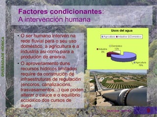 Factores condicionantes:
                      A intervención humana

                      ●   O ser humano intervén na
DIVERSIDADE HÍDRICA




                          rede fluvial para o seu uso
                          doméstico, a agricultura e a
                          industria asi como para a
                          produción de enerxía.
                      ●   O aproveitamento duns
                          recursos hídricos limitados
                          require da construción de
                          infraestruturas de regulación
                          (encoros, canalizacións,
                          trasvasamentos...) que poden
                          alterar o cauce e o equilibrio
                          ecolóxico dos cursos de
                          auga.                                              9
                                                           Henrique Hervés   9
 