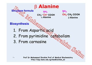 03 alanine metabolism | PDF
